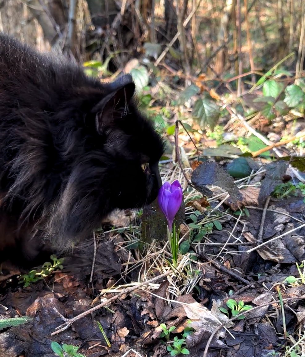 Ледь вмовила її на цей кадр 🖤💜