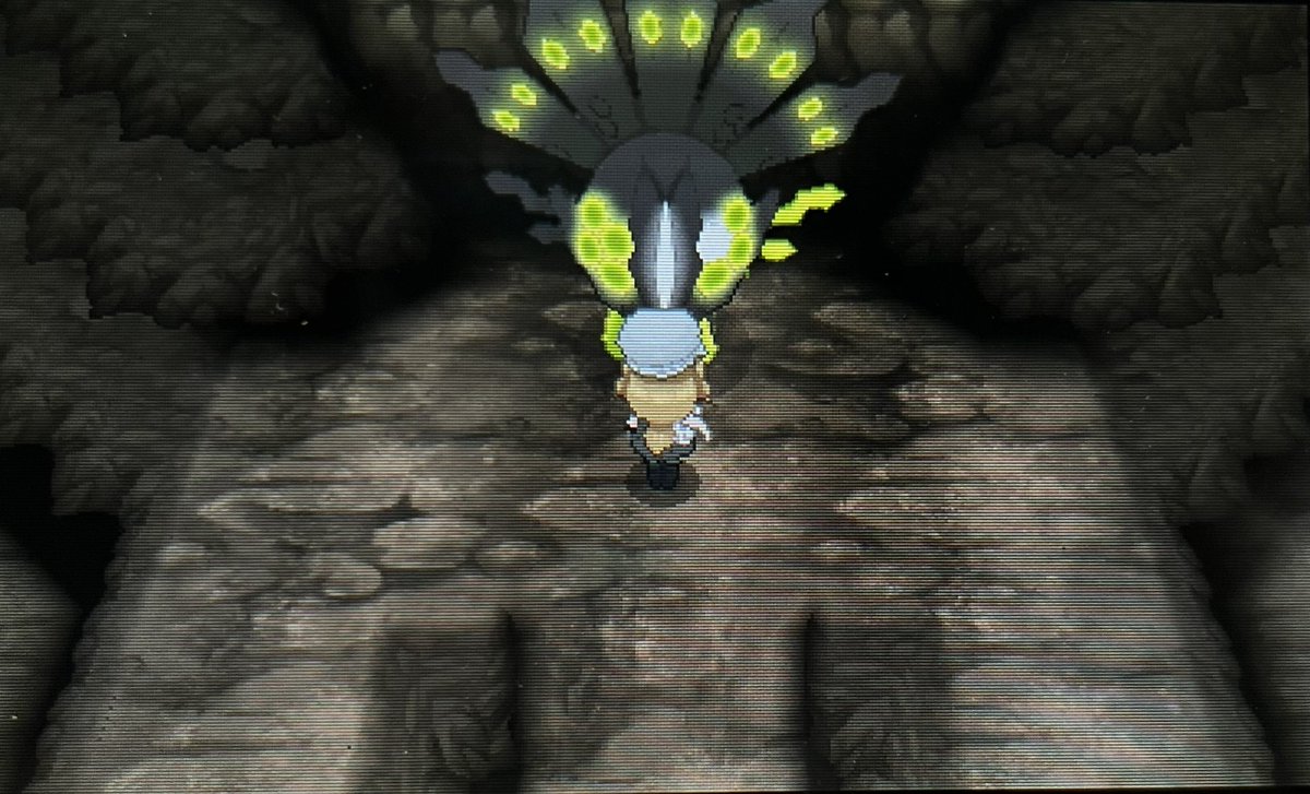 지가르데님이다!