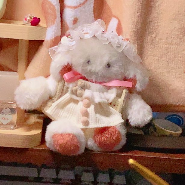 🪺でっかいくじら🪺 (@dekkaikujira) / Posts / X