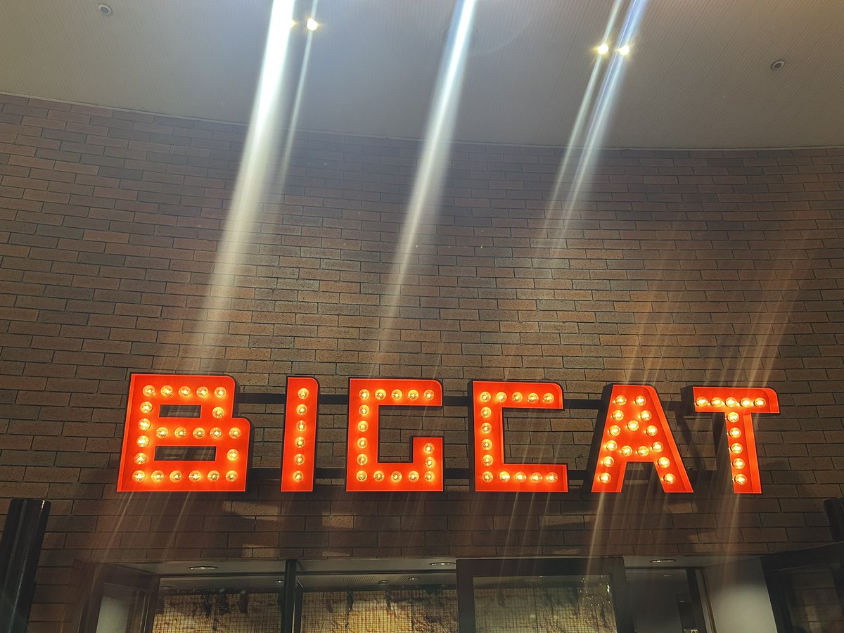 ミロ / 𝙈𝙄𝙇𝙊@ tweet media