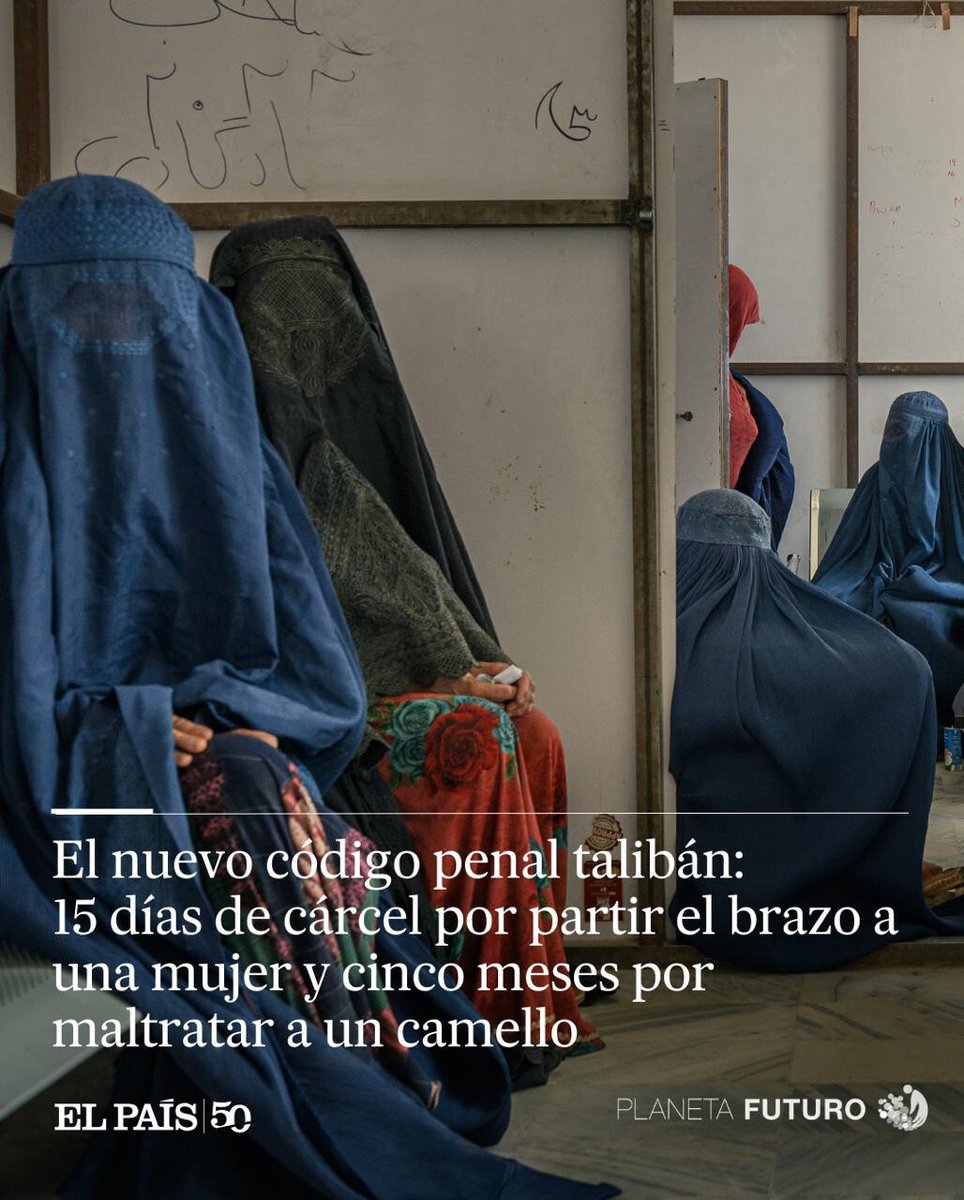El nuevo código penal talibán: 15 días de cárcel por partir el brazo a una mujer y cinco meses por maltratar a un camello

El Gobierno de Afganistán legaliza la violencia de género ejercida desde 2021 y las madres, hijas y esposas pasan a ser objetos 

tinyurl.com/4ft4axr7