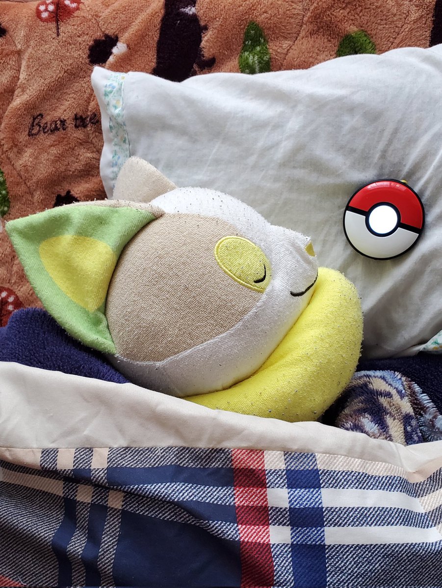 物心ついた時からポケモンとずっと一緒でした。ポケモンが好きでよかったって思う事がこの人生で何回あったことか。この先40周年も50周年もずーっと止まることなく続いていってほしいな。

この後のポケモンプレゼンツもワクワクしながら爆睡中の相棒と見るぞ！！！！！
#ポケモン30周年