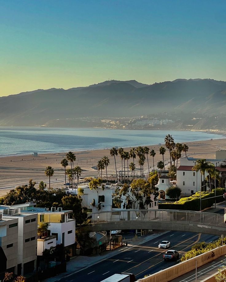 اکوان دیو tweet media