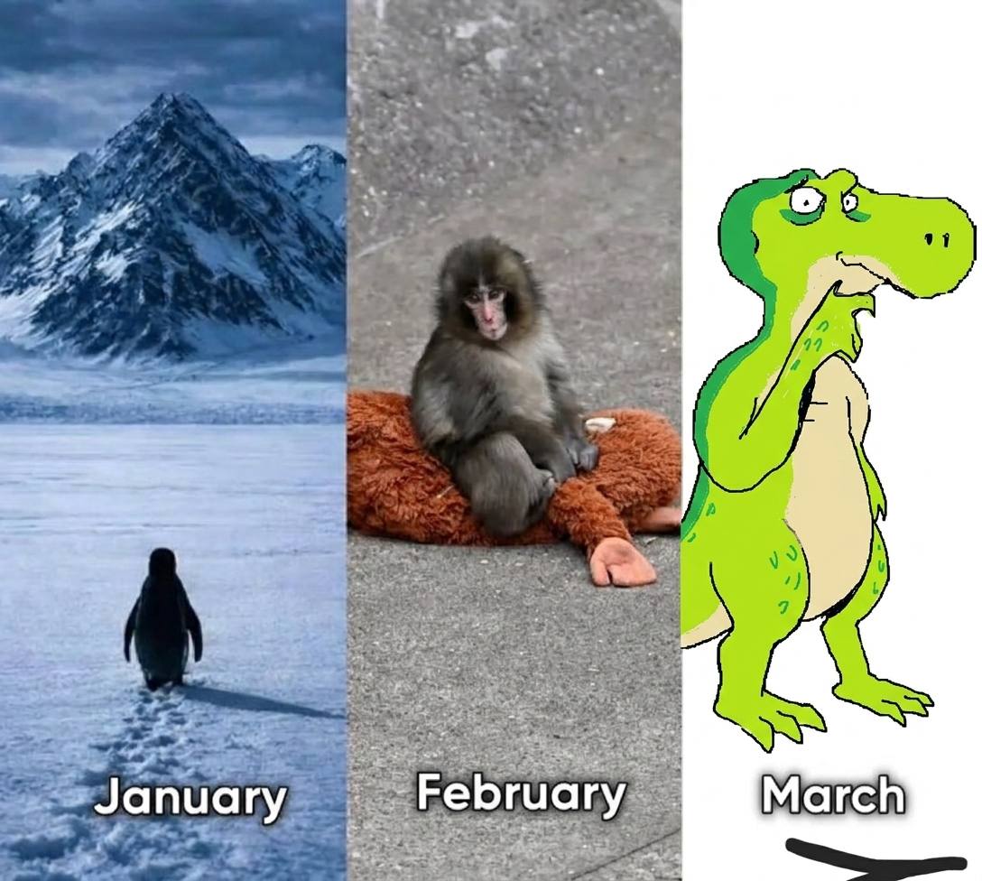 KY33 ⚔️ tweet media