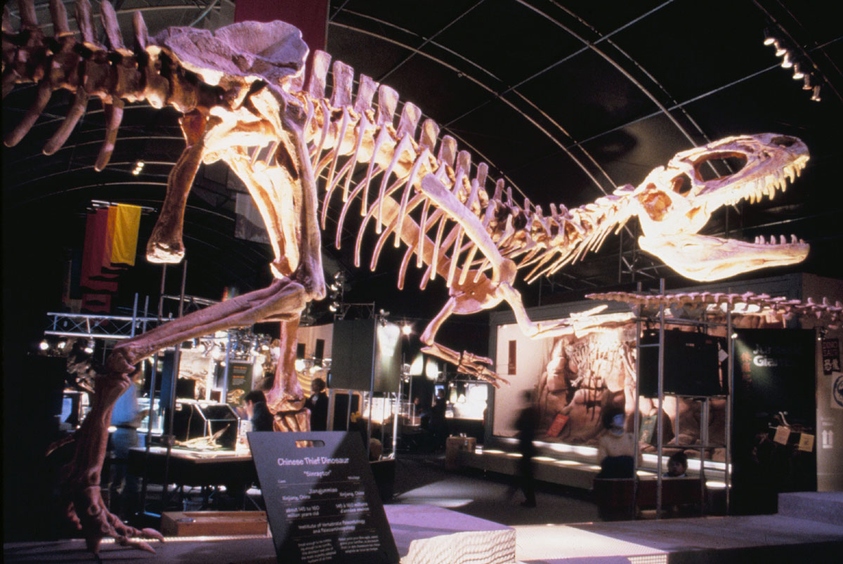 Thomas R. Holtz, Jr. 🦖💕 (he/him) tweet media