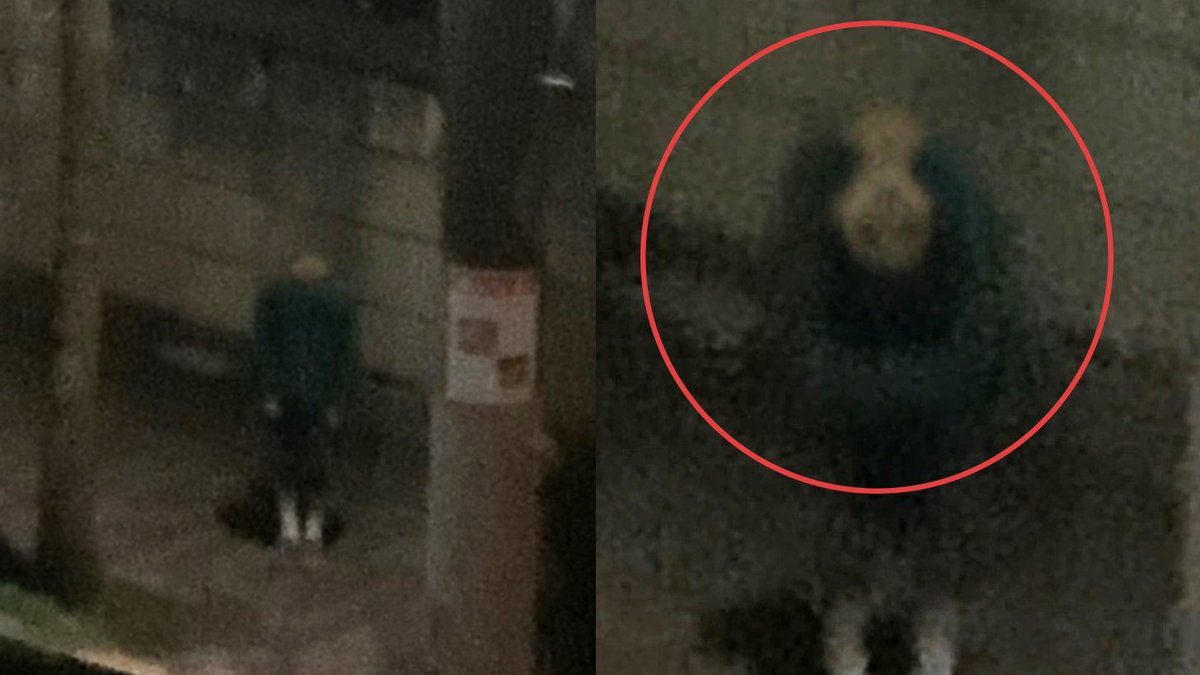 About a Place in Kinki Region (9/10) โอซาวะ นักเขียนหนังสือเรื่องผีพบว่าหัวหน้าของเขาหายตัวไปปริศนา โดยเบาะแสเดียวที่เขาทิ้งเอาไว้คือวิดีโอเทปจำนวนหนึ่งที่มีทั้งคลิปถ่ายติดผี คลิปถ่ายคนอื่นๆก่อนหายตัวไป จุดเชื่อมโยงคือทุกคลิปถ่ายทำในภูมิภาคคิงคิ ที่ๆหัวหน้าของเขาหายตัวไปเช่นกัน