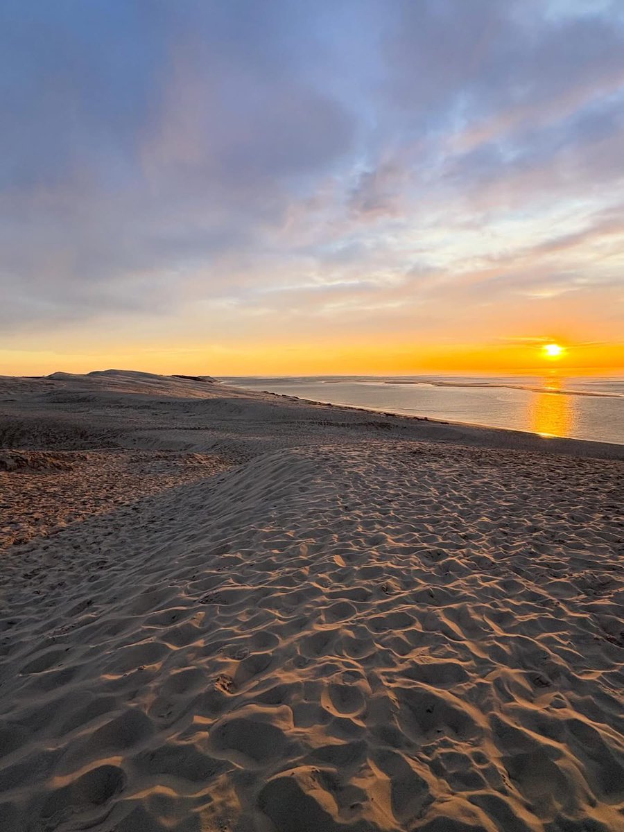 Anthony Maubert tweet media