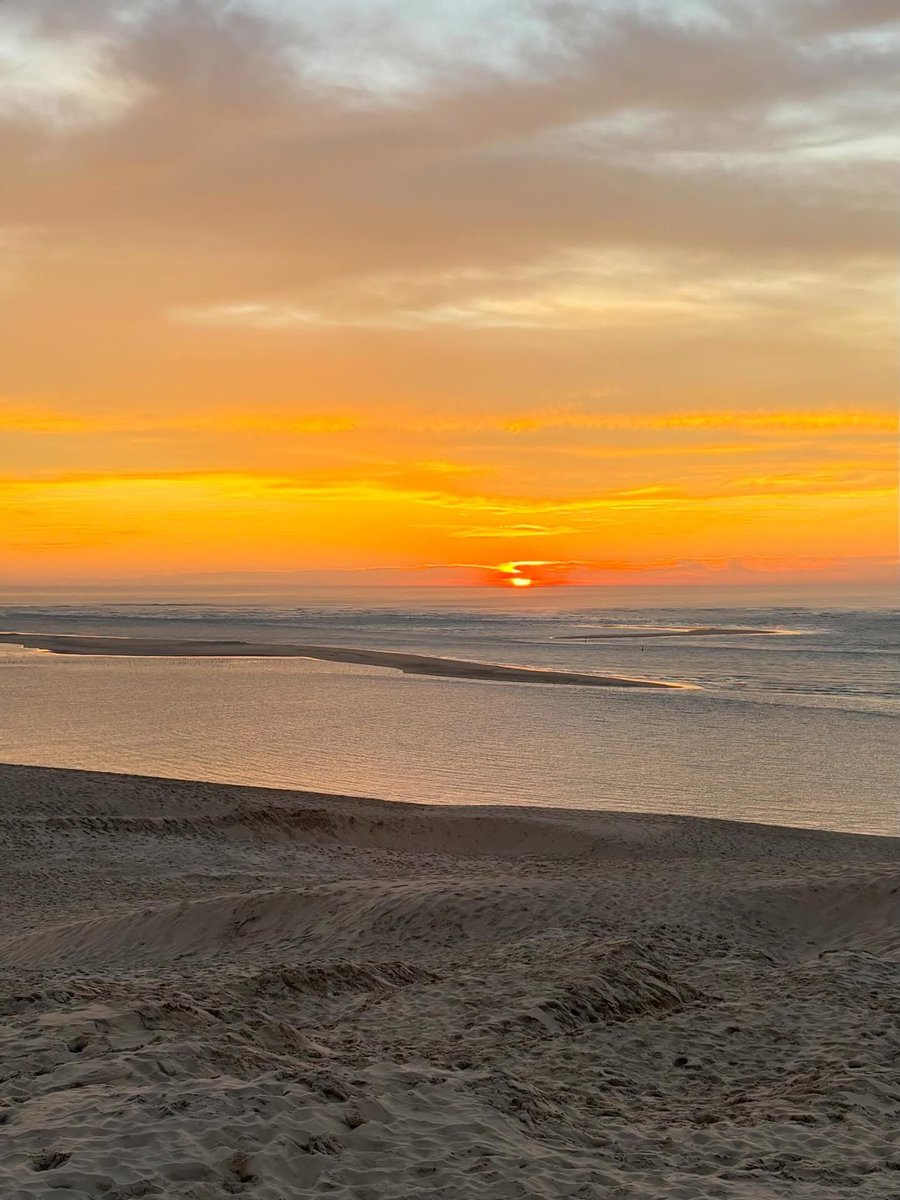 Anthony Maubert tweet media