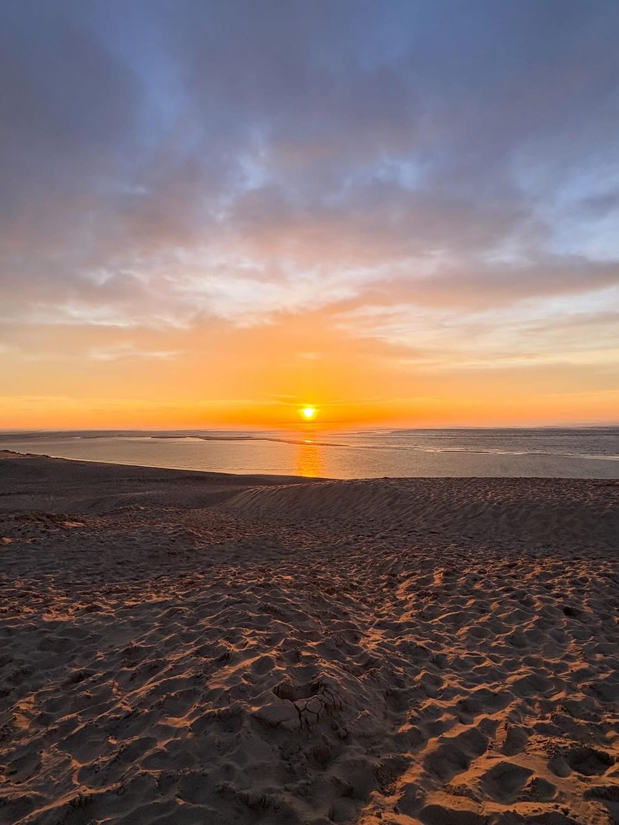 Anthony Maubert tweet media