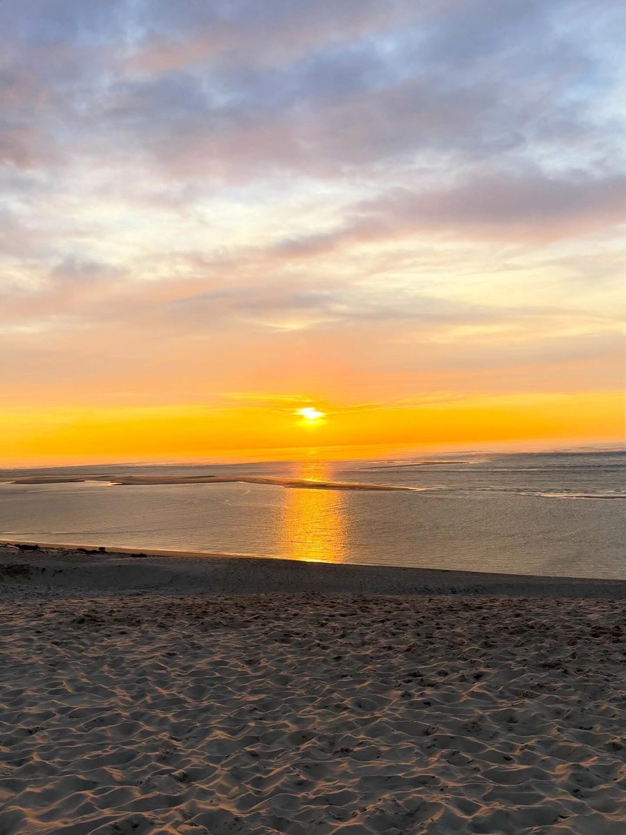 Anthony Maubert tweet media