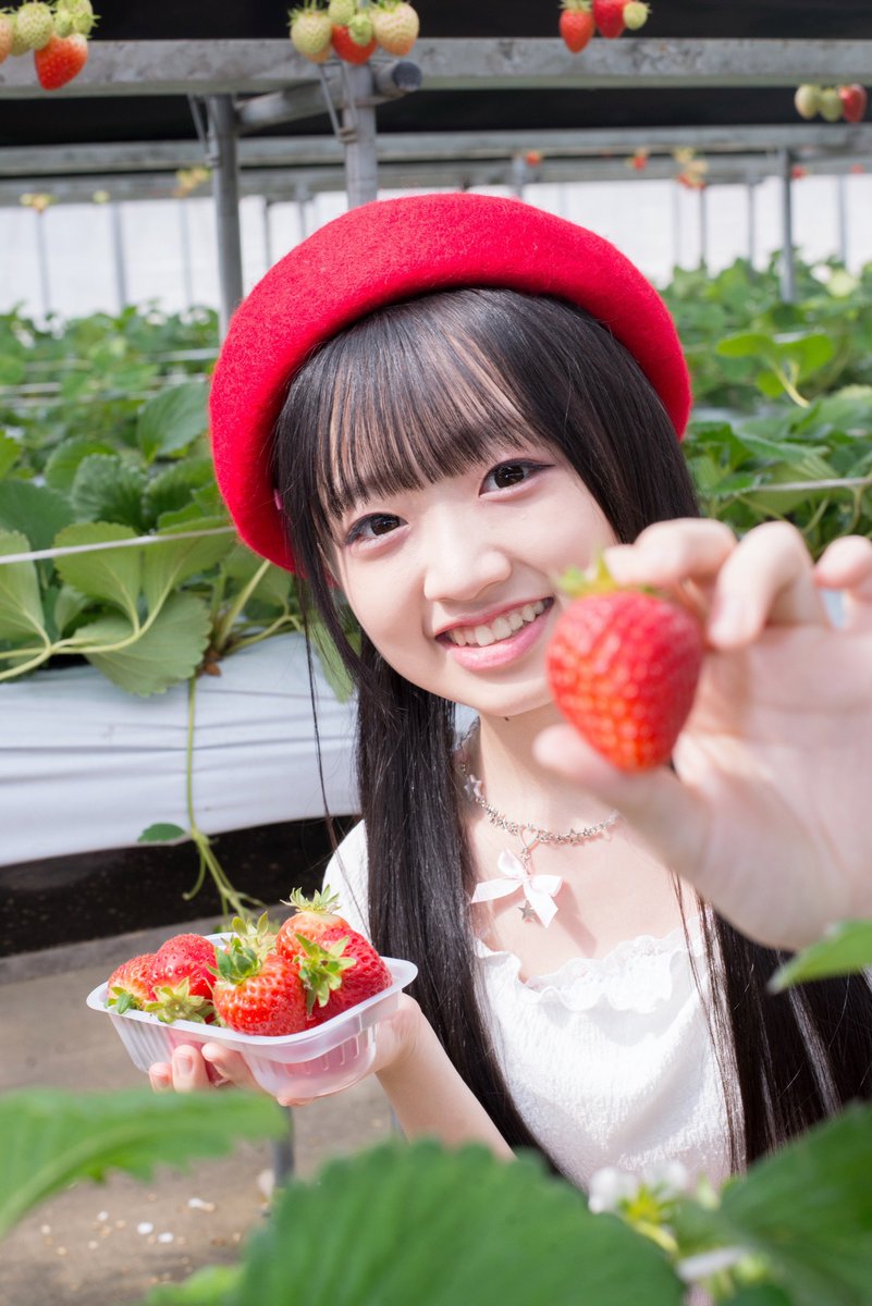 ももにゃん といちご狩り🍓 おっきくて甘くて美味しかったにゃん