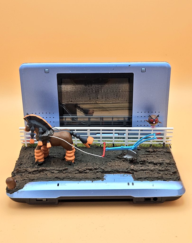 Finn's terrariums tweet media
