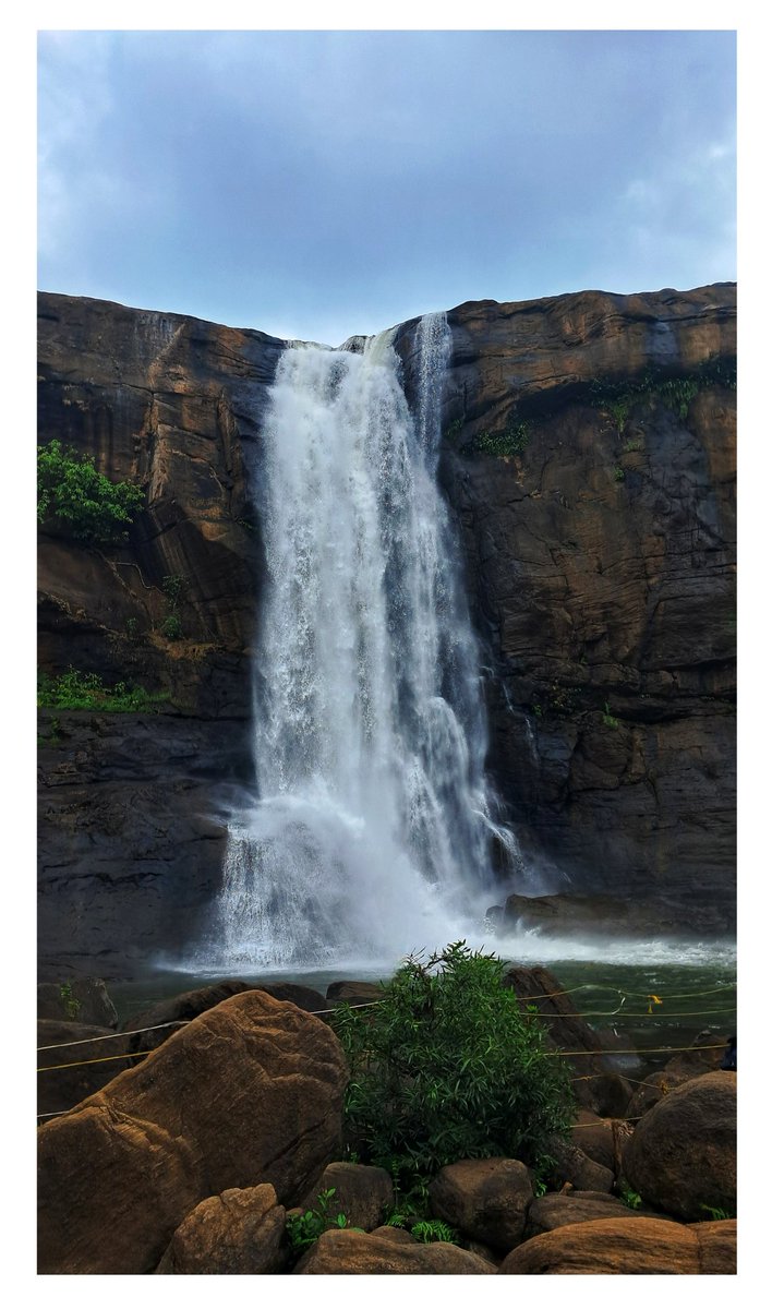 IamSriSudharsan's tweet image. In this photograph: Athirappilly Waterfalls, often called the "Niagara of India." 

It's the largest waterfall in Kerala, standing at 80 feet tall. 

Located on the Chalakudy River in the Thrissur district.

#water #falls #nature #photography #Thrissur #Kerala #India