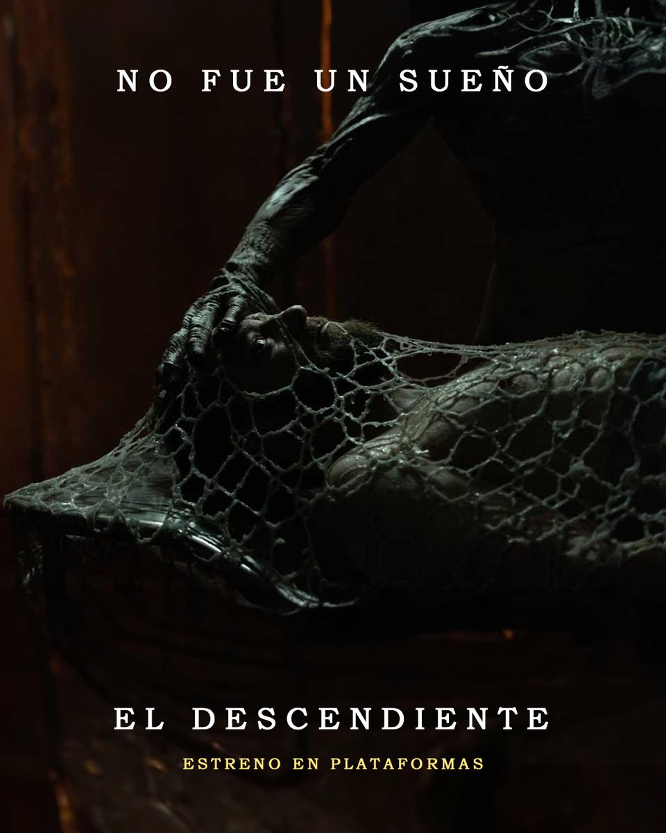 Youplanet Distribution tweet media