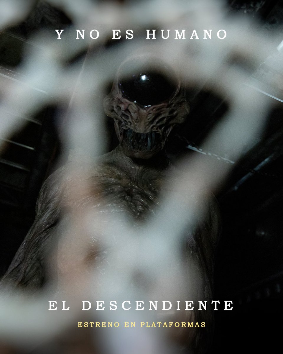 Youplanet Distribution tweet media