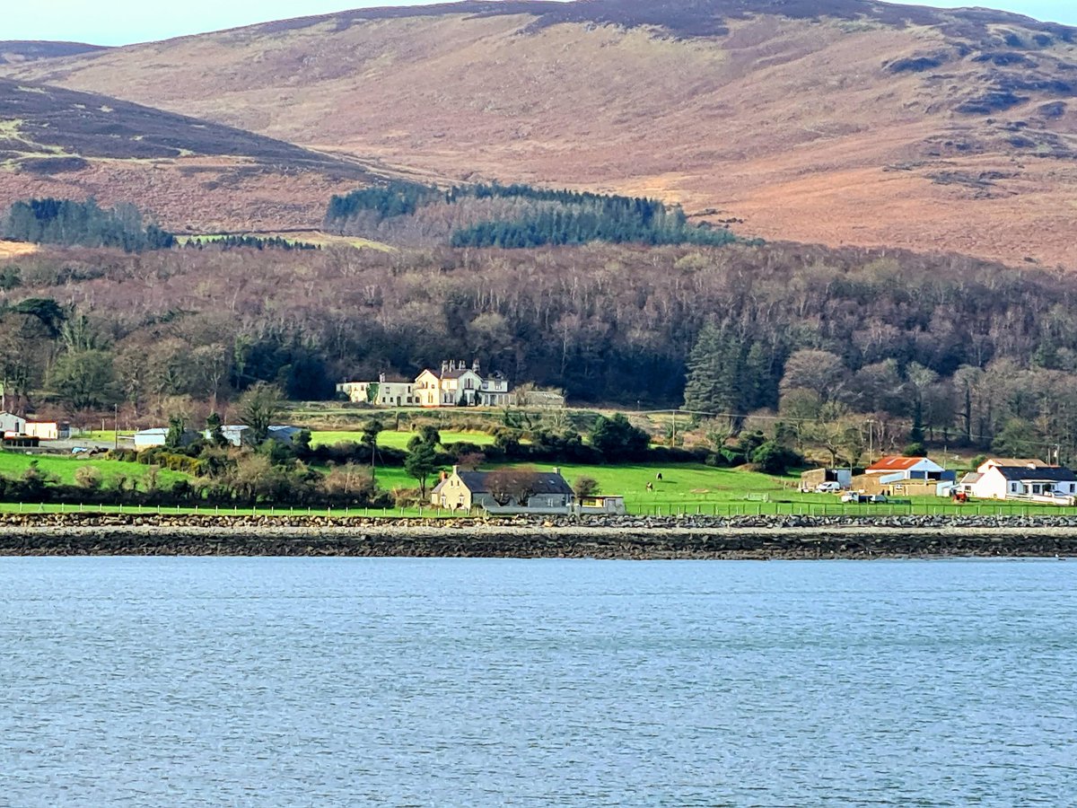 Diane Butler 🐕 🐕‍🦺 tweet media