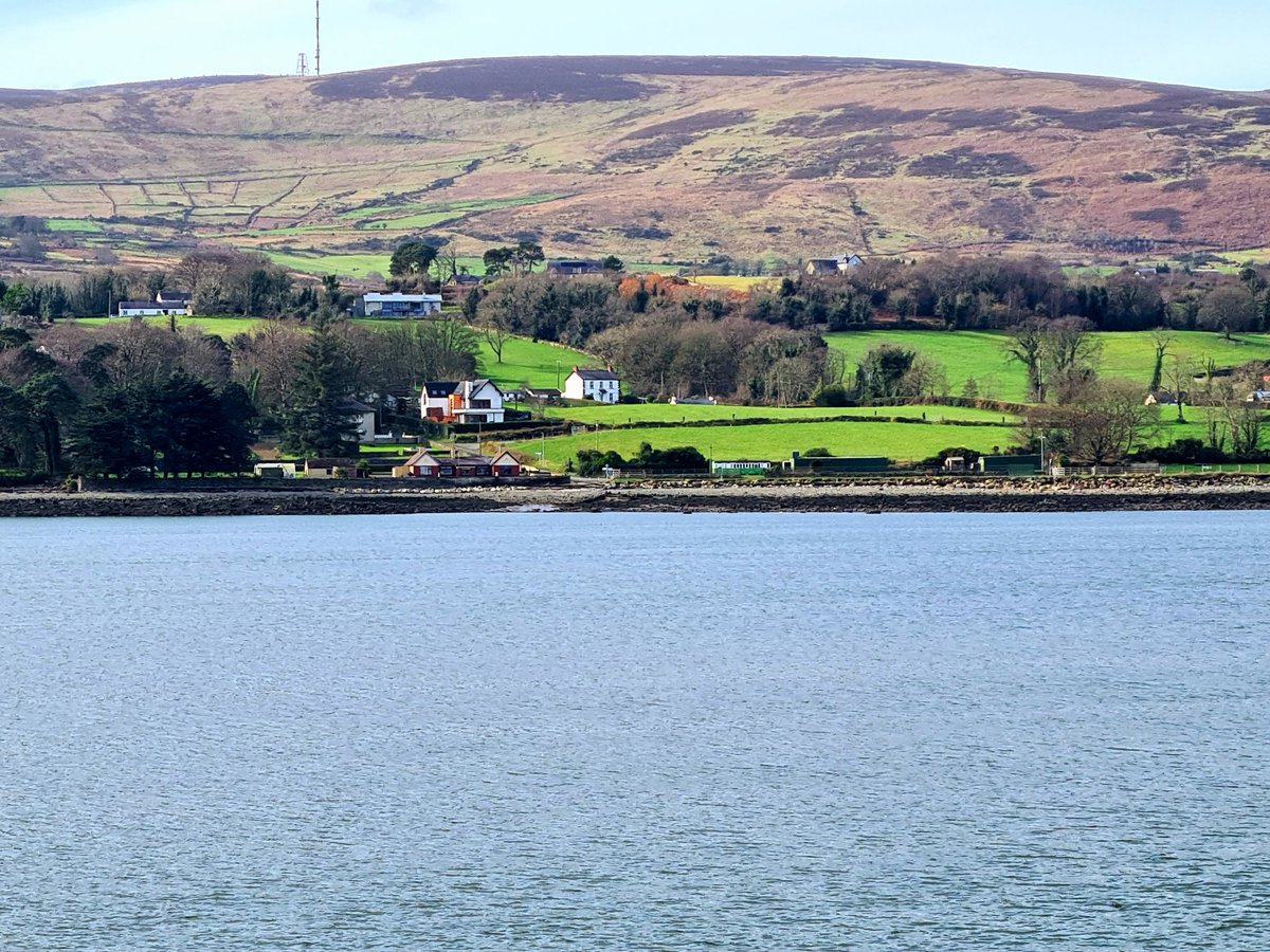 Diane Butler 🐕 🐕‍🦺 tweet media