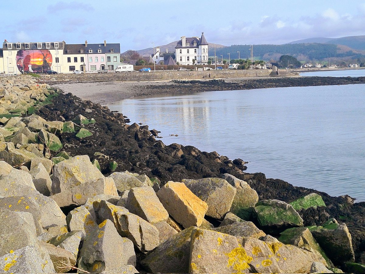 Diane Butler 🐕 🐕‍🦺 tweet media