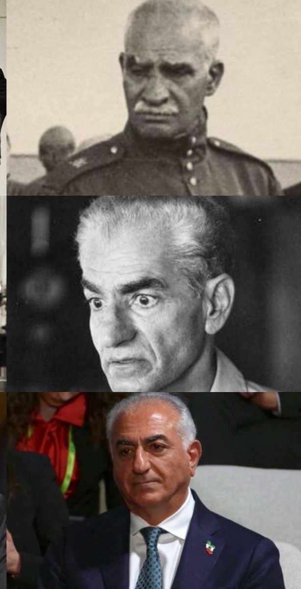 Sharifi_Saleh tweet media