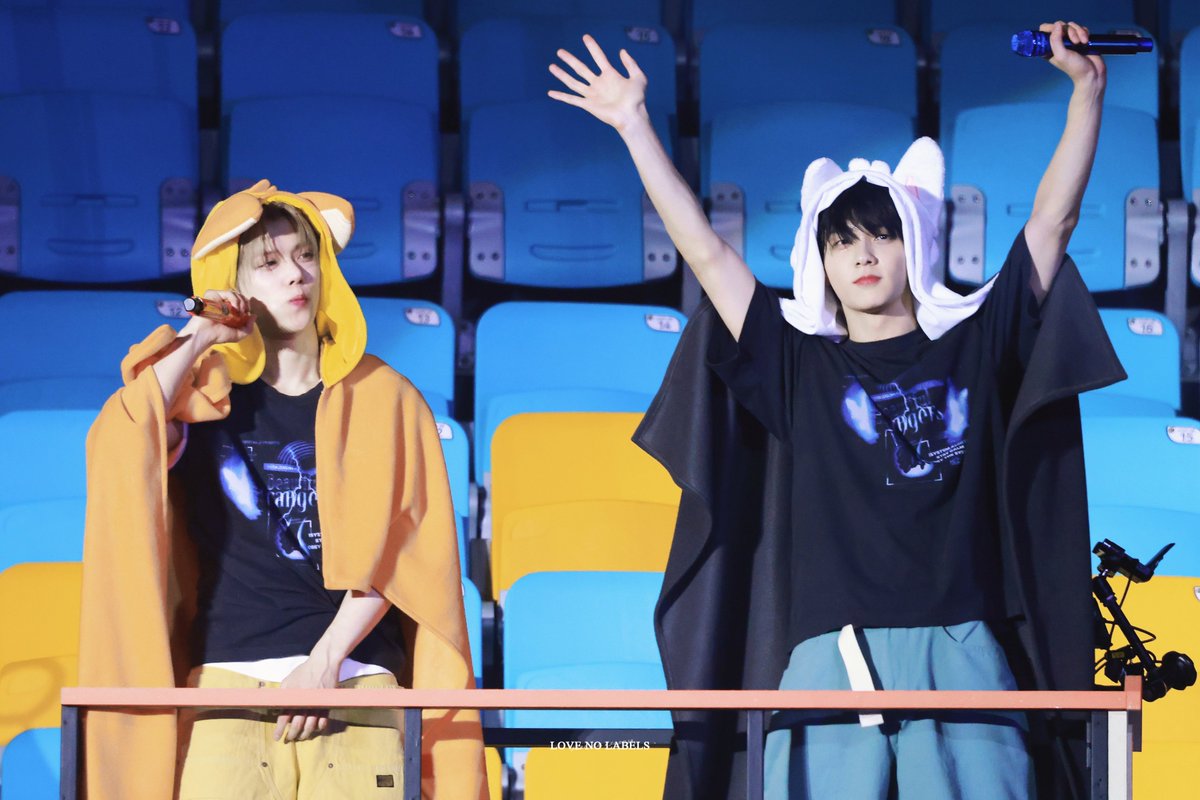 LOVE NO LABELS tweet media