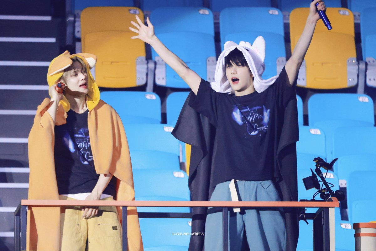 LOVE NO LABELS tweet media