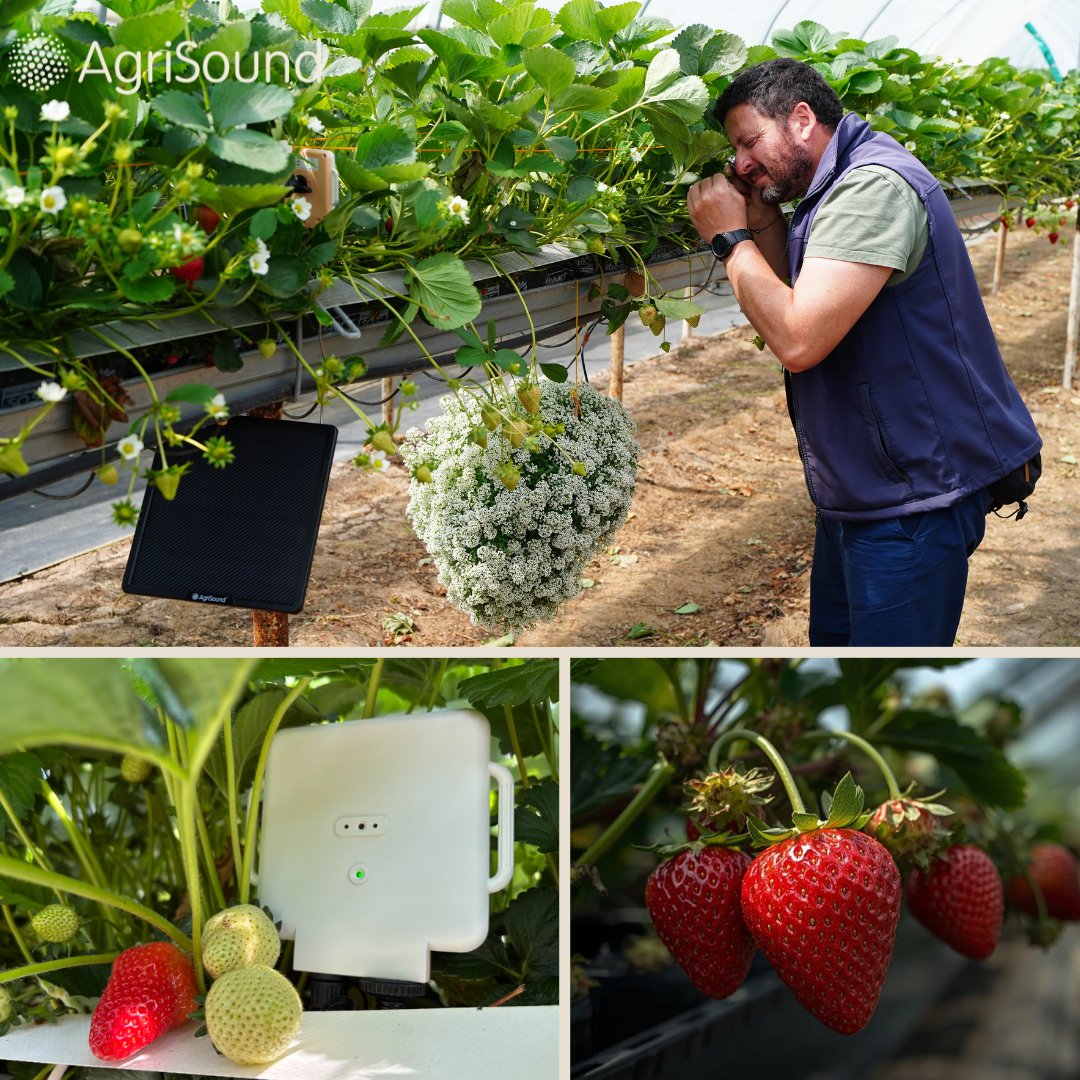 AgriSound tweet media