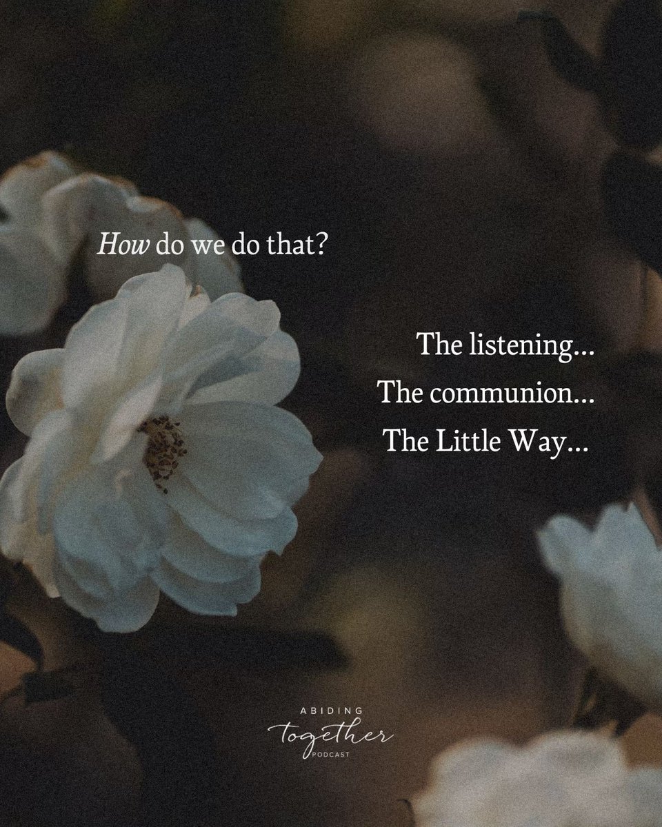Abiding Together Podcast tweet media