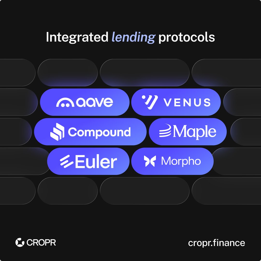 Find the best lending yields across @Aave, <a href="/compoundfinance/">Compound Labs</a>, <a href="/MorphoLabs/">Morpho Labs</a>, @EulerFinance, @MapleFinance &amp; <a href="/VenusProtocol/">Venus Protocol</a>

Compare rates. Execute positions. Track returns.
Your assets. Your wallet. Your control.
