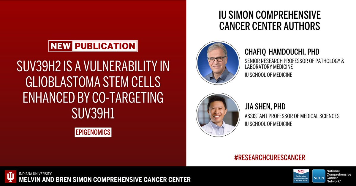 IUCancerCenter's tweet image. The cancer center’s Chafiq Hamdouchi, PhD, Jia Shen, PhD, and colleagues published a new article in Epigenomics. Learn more: ow.ly/Ixn350XIxcW. #ResearchCuresCancer #NCIcomprehensive