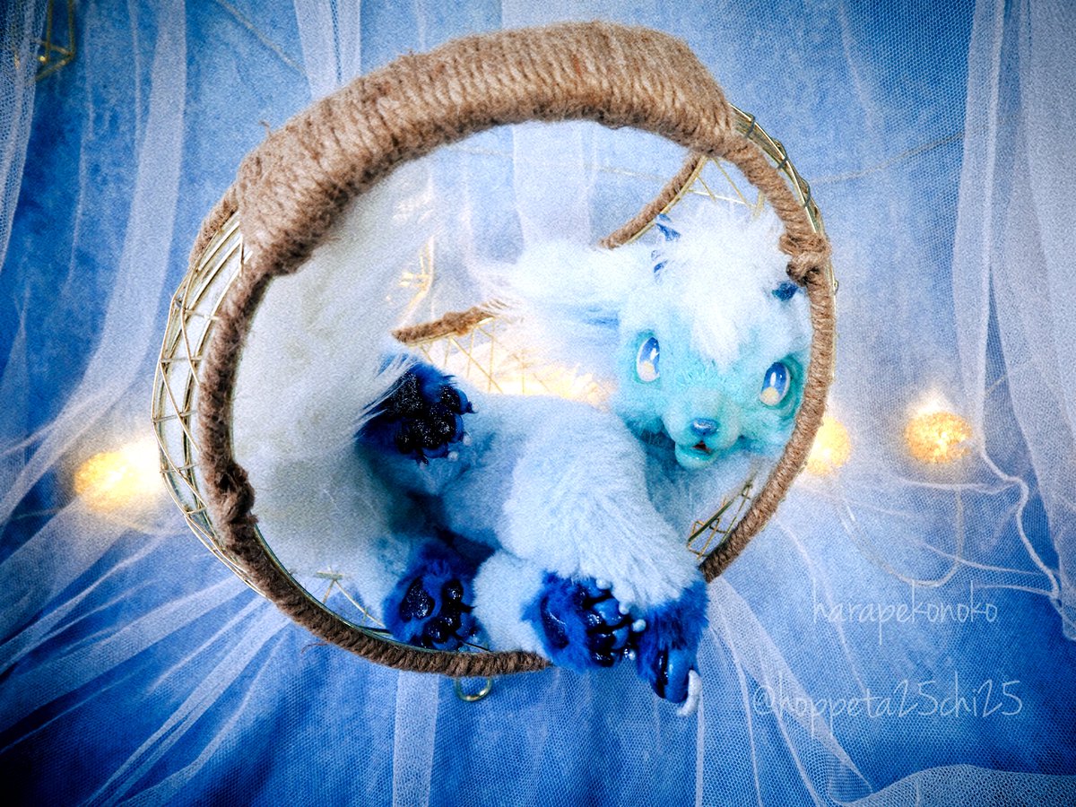 ハラペコ (@hoppeta25chi25) / Posts / X