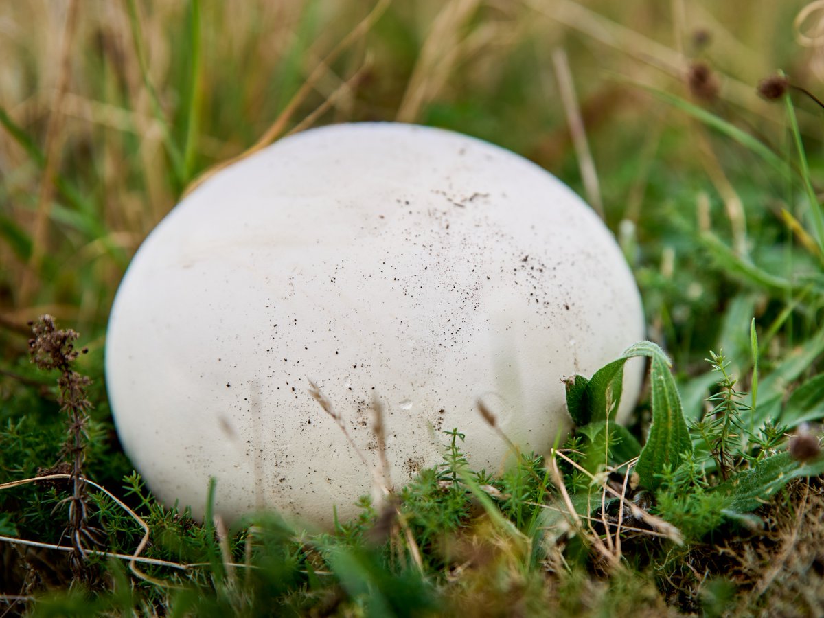 Science Channel tweet media