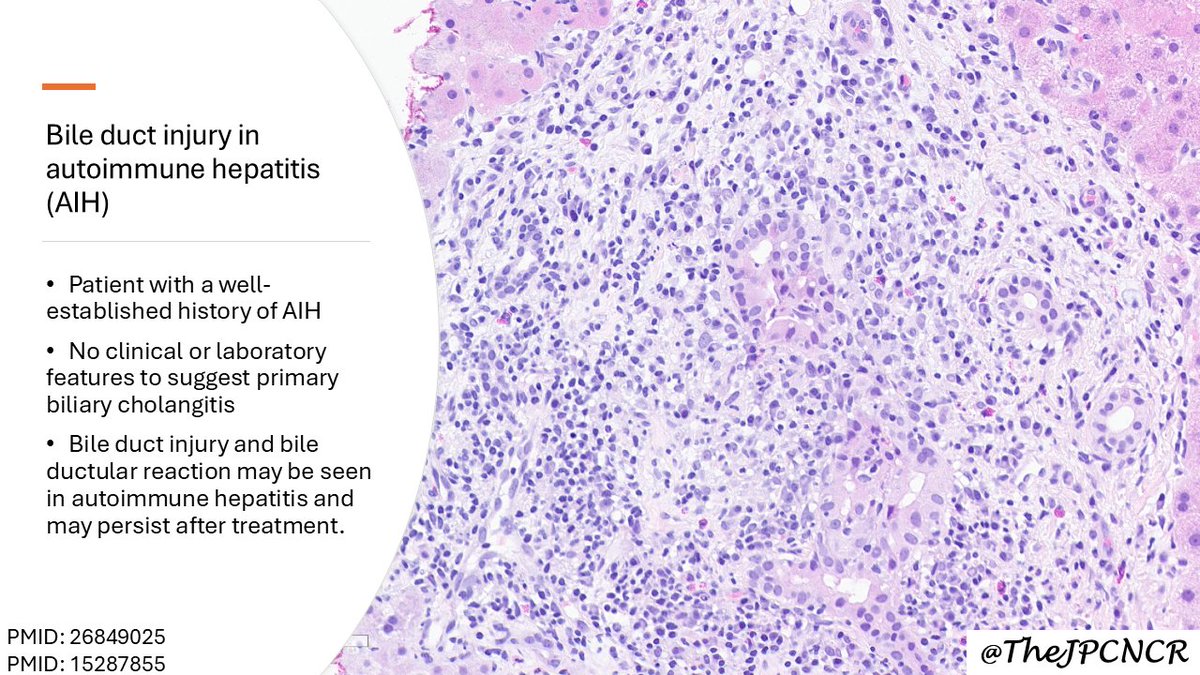 The Joint Pathology Center (JPC) tweet media