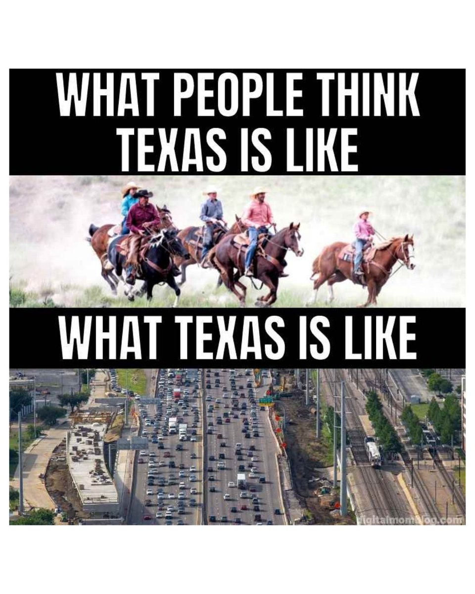 Attorney Steve Lee tweet media