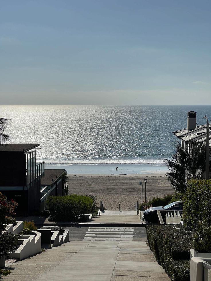 اکوان دیو tweet media