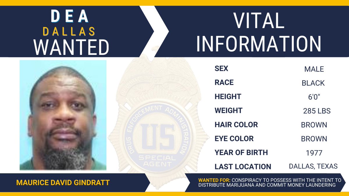 DEADallas tweet media