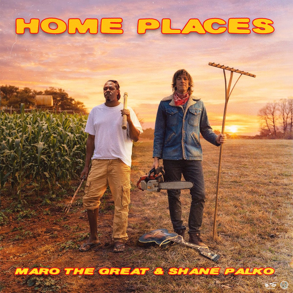 Shane Palko tweet media