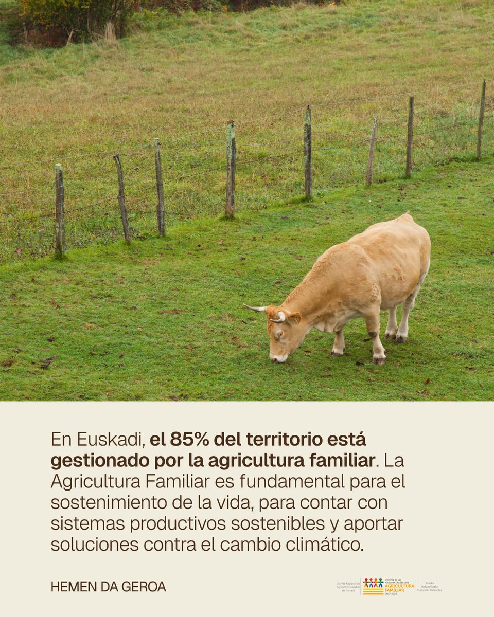 World Rural Forum tweet media