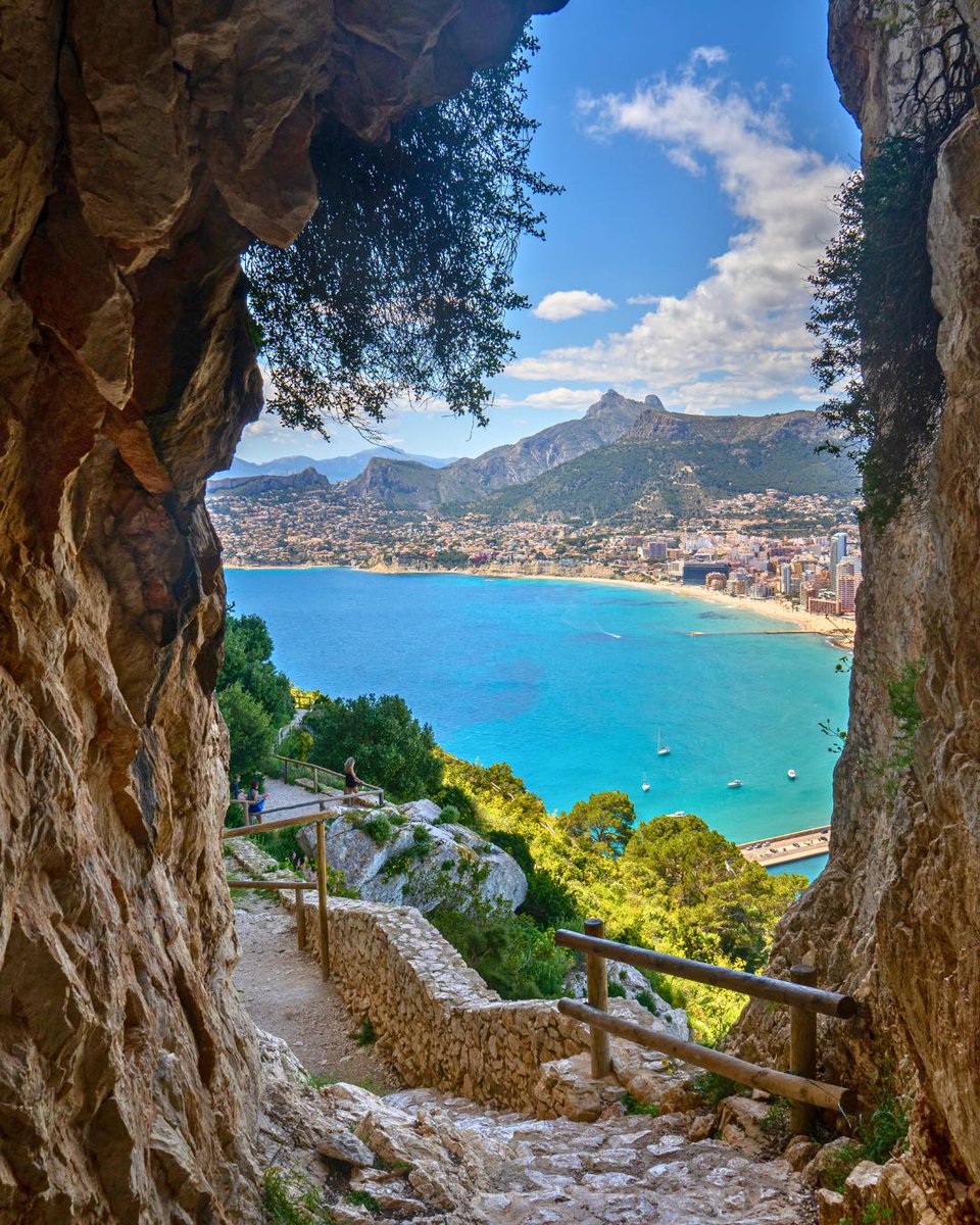 Área 12 - Alicante tweet media