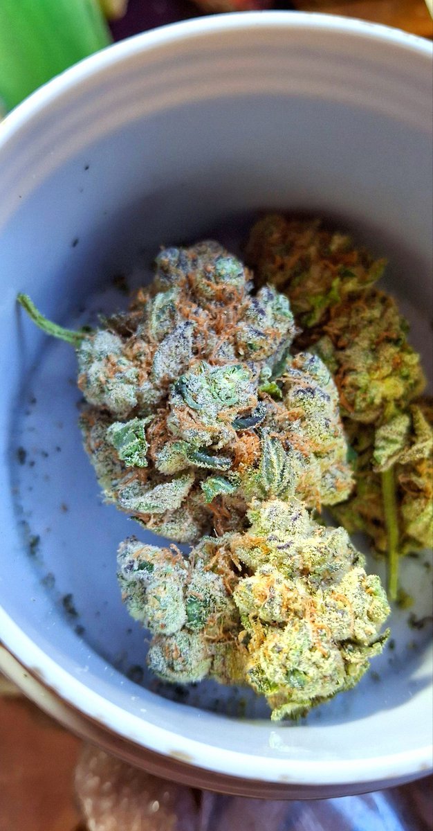 ChrisHummings's tweet photo. Garlic cookies strain 😋💨 https://t.co/NM6oaW5vIk