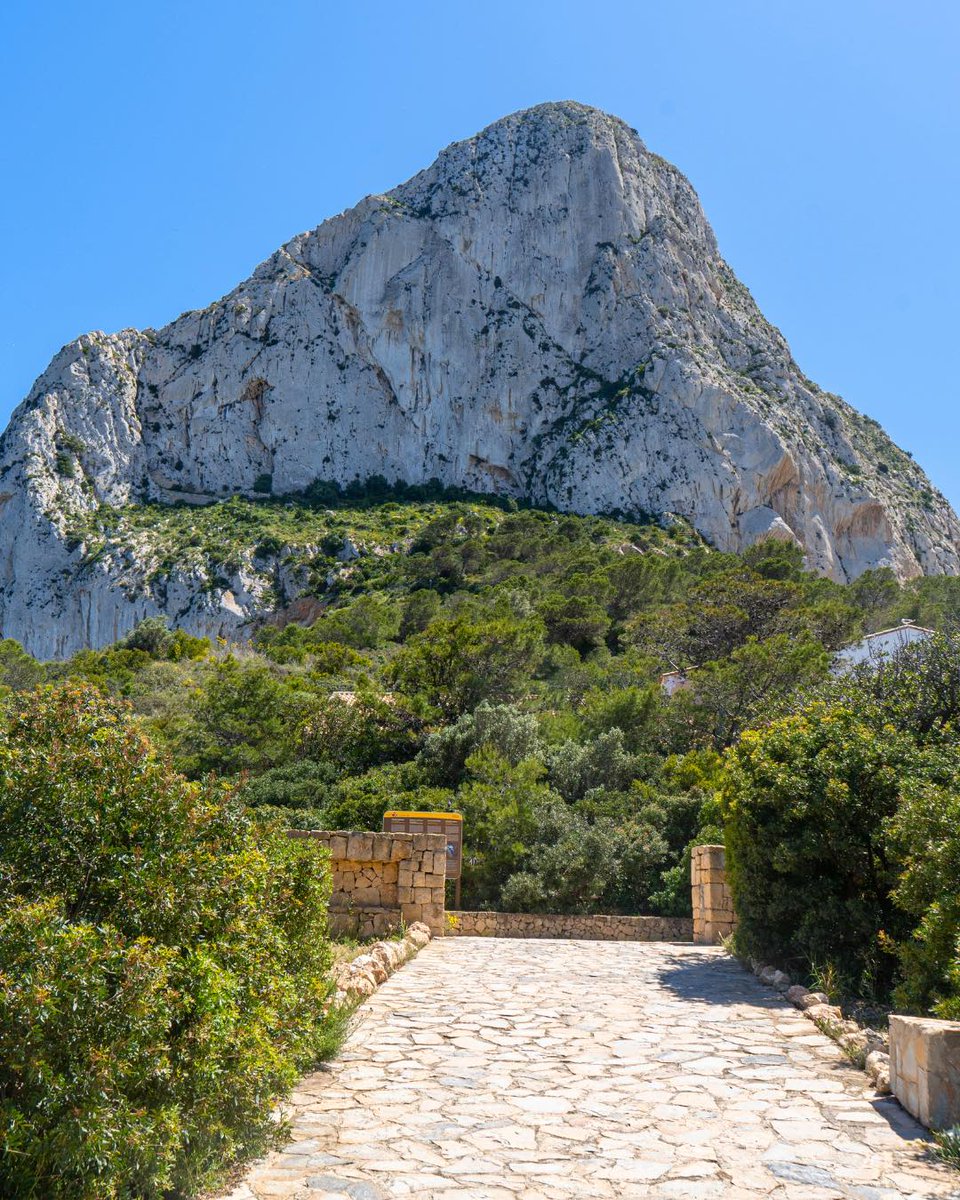 Área 12 - Alicante tweet media