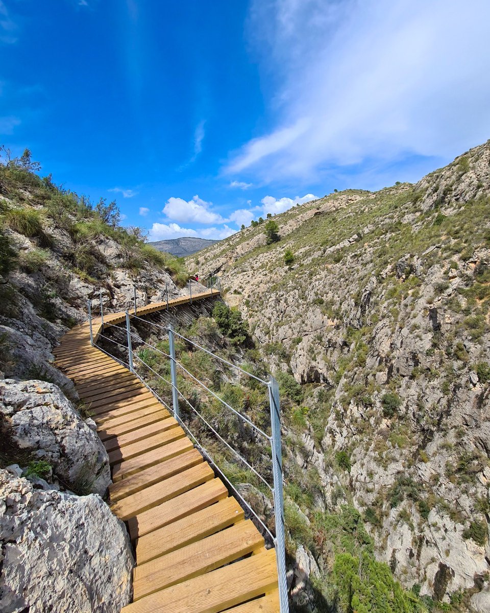 Área 12 - Alicante tweet media