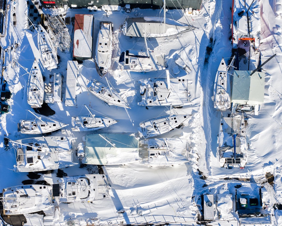 Nicolas Escalante tweet media