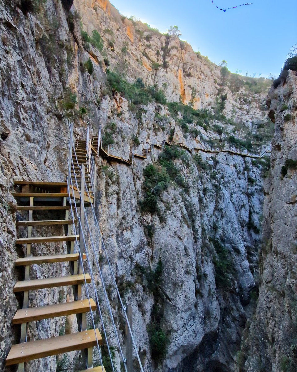 Área 12 - Alicante tweet media