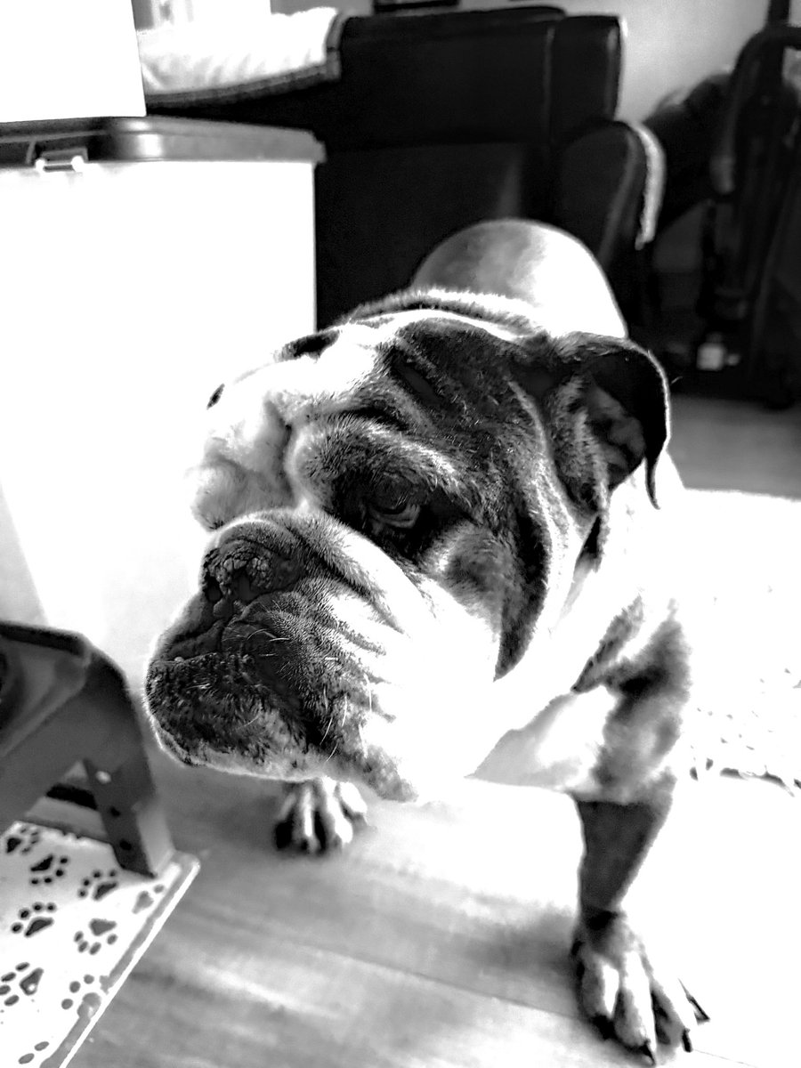 𝐇𝐞𝐫𝐜𝐮𝐥𝐞s🇺🇸 tweet media