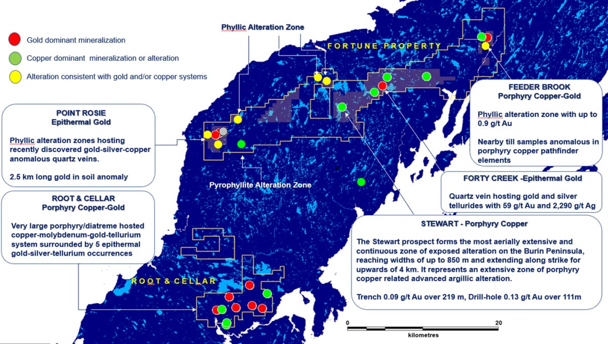 Northern Shield tweet media
