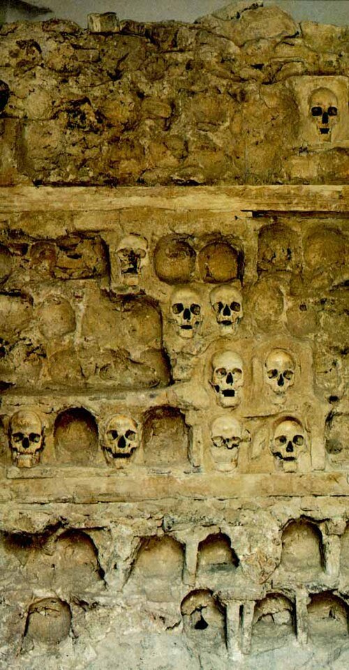 Aleksandar Tomasevic tweet media