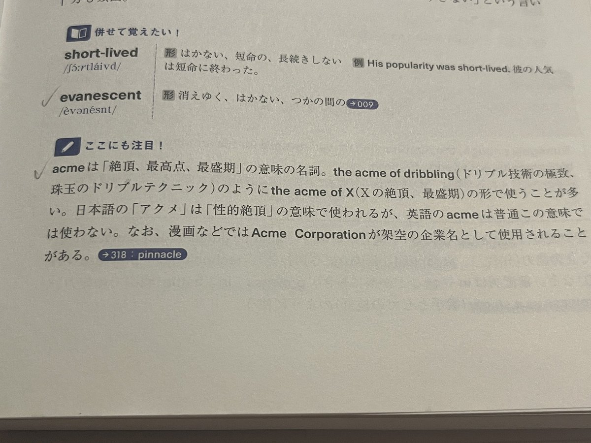 渋井丸 tweet media