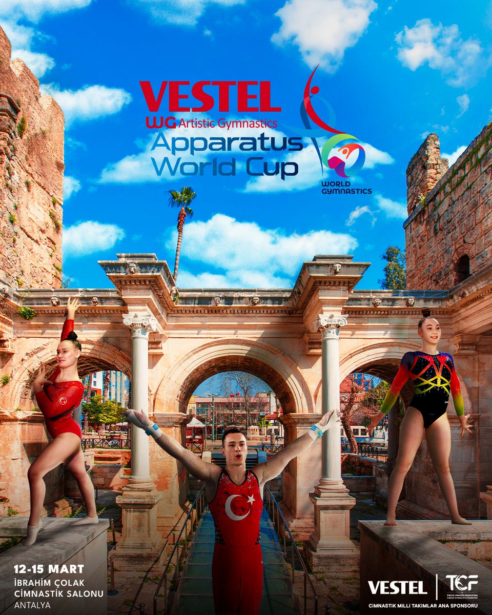 Vestel tweet media