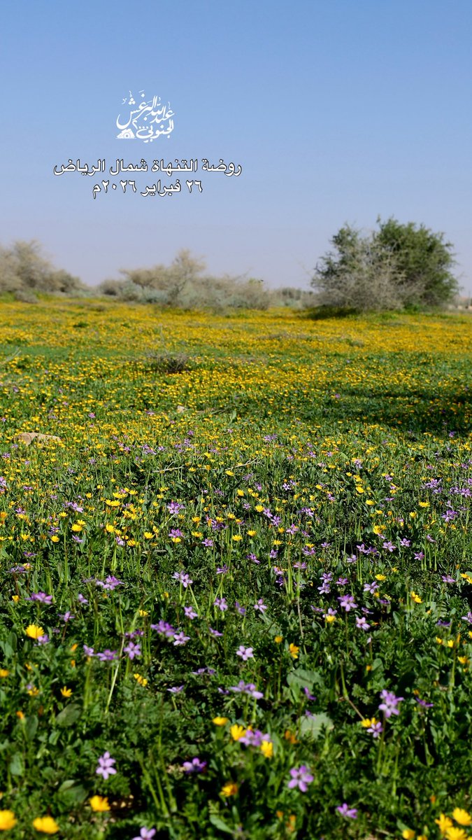طقس tweet media