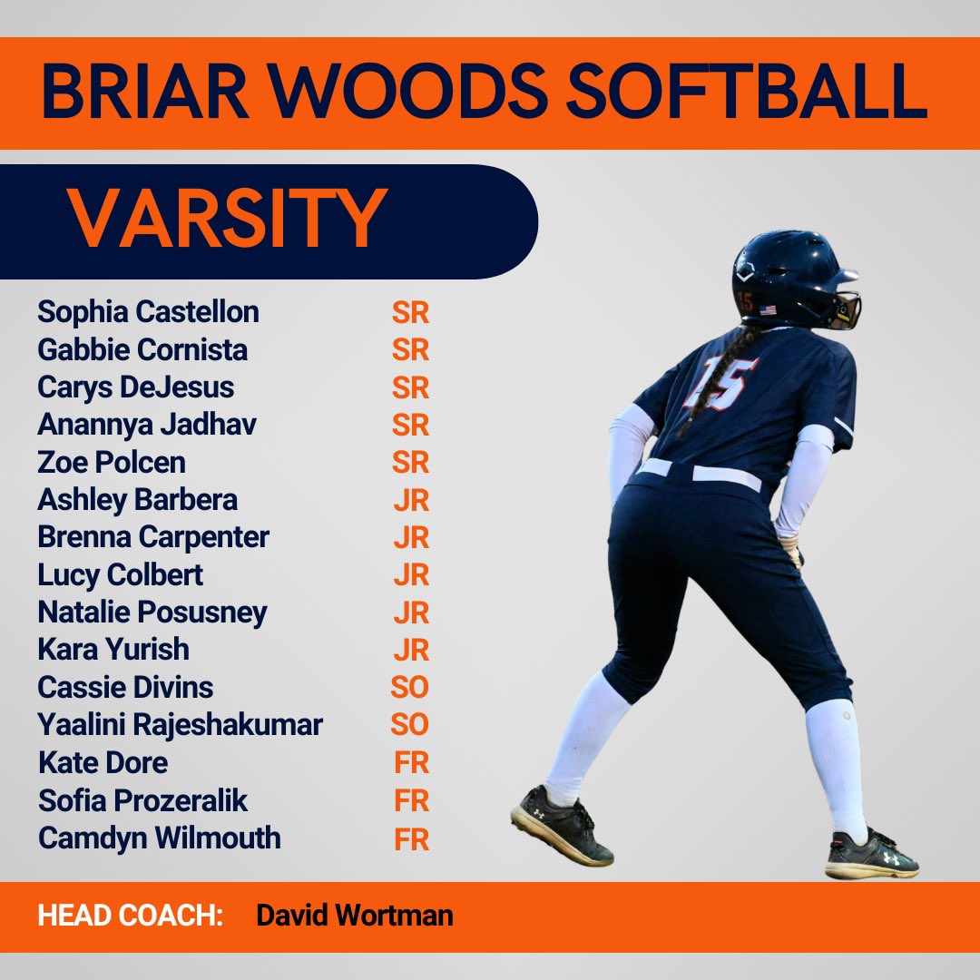 Briar Woods Softball tweet media